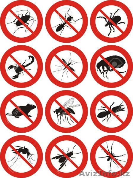  Дезинcекция и дератизация Темиртау - Изображение #1, Объявление #1561283