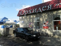 ПРОДАМ срочно Магазин-Кафе БАР в самом центре города!!! - Изображение #1, Объявление #790996