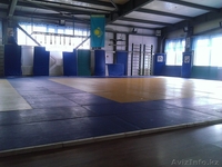 Секция по Борьбе Дзюдо - Изображение #2, Объявление #1176241