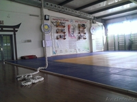 Секция по Борьбе Дзюдо - Изображение #1, Объявление #1176241