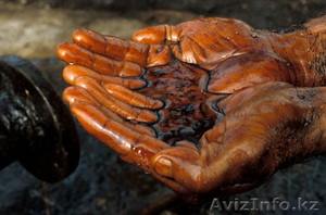 Нефтепродукты для Вас!