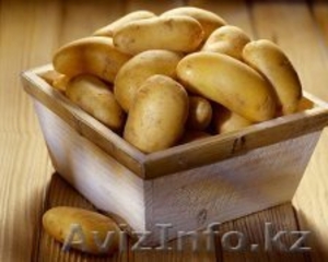 Продам картофель оптом в г.Темиртау - Изображение #1, Объявление #1037010