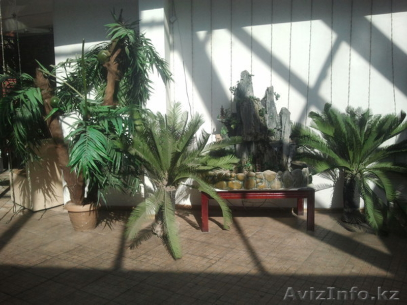 Продается кафе  - Изображение #4, Объявление #1100230