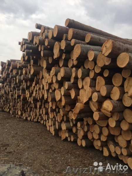 Доска. Брус. Лафет - Изображение #3, Объявление #1610310