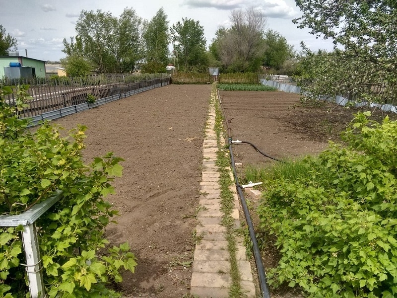 Продается дача Общество мичуринец - Изображение #3, Объявление #1656440