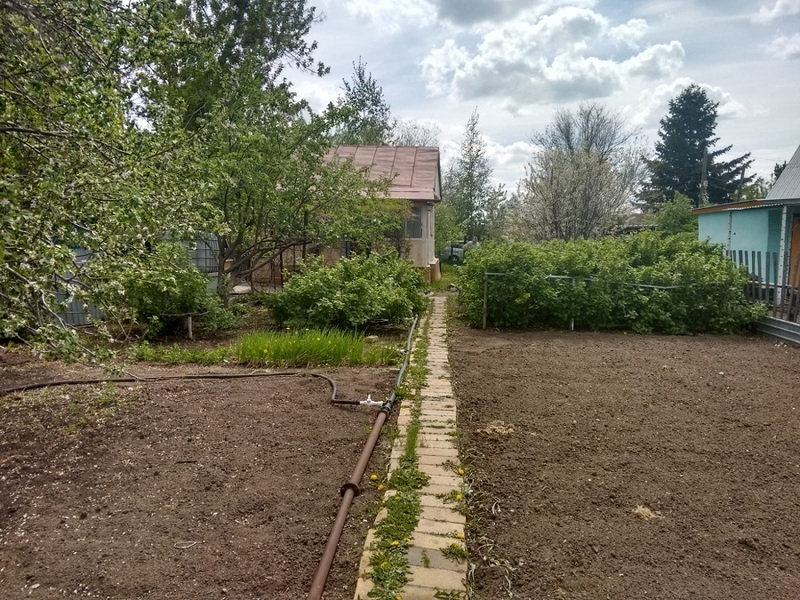 Продается дача Общество мичуринец - Изображение #1, Объявление #1656440